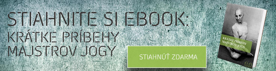 STIAHNITE-SI-EBOOK-BANNER-MAJSTRI-JOGY-FLEXITY